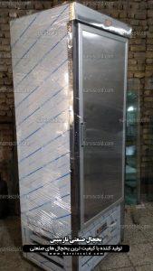 یخچال ایستاده کوچک گوشت و پروتئین