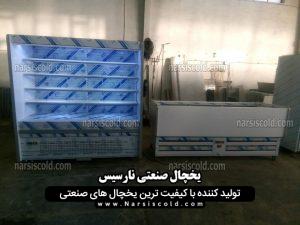 یخچال و فریزر پرده هوا ایستاده